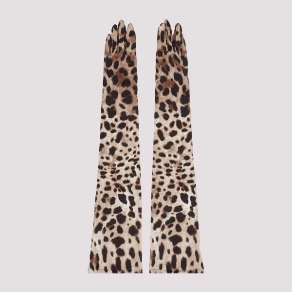 Shop Dolce & Gabbana Long Animalier Silk Gloves M In Hym Leo New