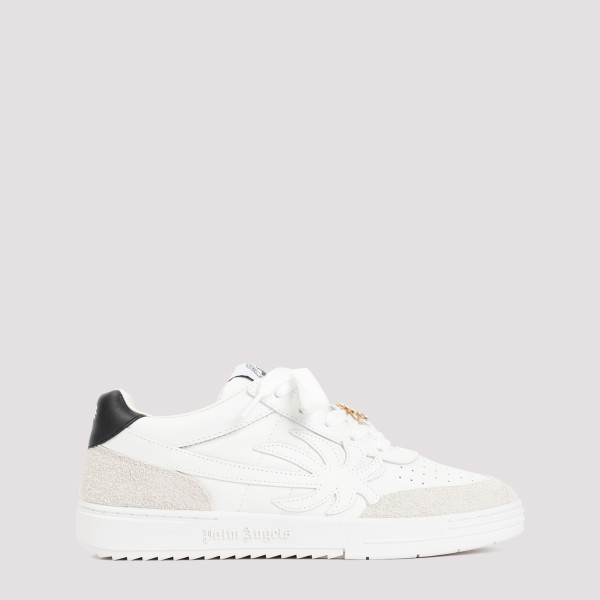 Shop Palm Angels Palm Beach University Sneakers 42 In White Whit