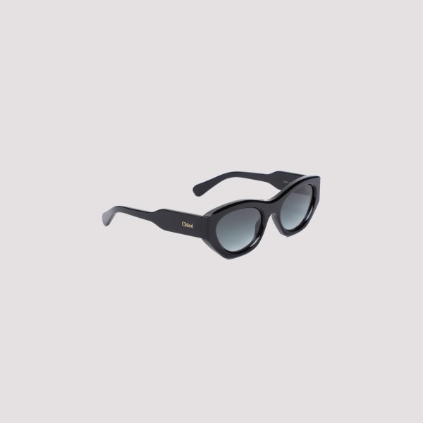 Shop Chloé Ch0220s Sunglasses 53 In Black